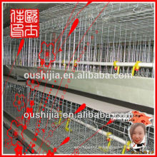 Cage de poulet à la volaille (manufacture)